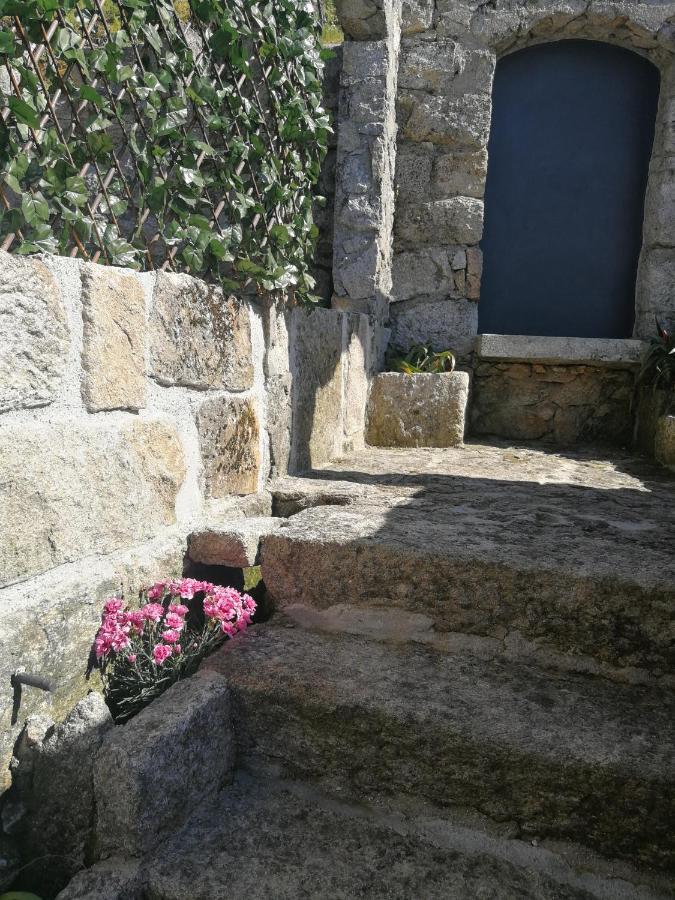 Casa Colmeia Esposende Kültér fotó